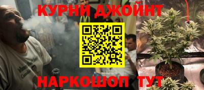 шишки Коммунар