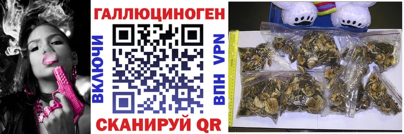 Галлюциногенные грибы прущие грибы  Крымск 