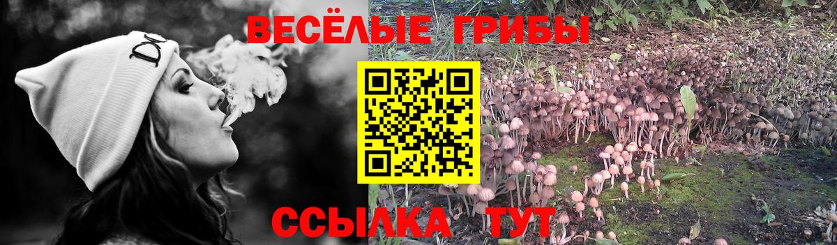 Крымск  Псилоцибиновые грибы ЛСД  Вход с VPN 