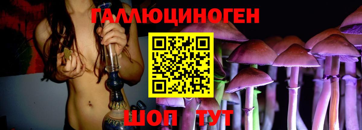 Галлюциногенные грибы Psilocybine cubensis Крымск
